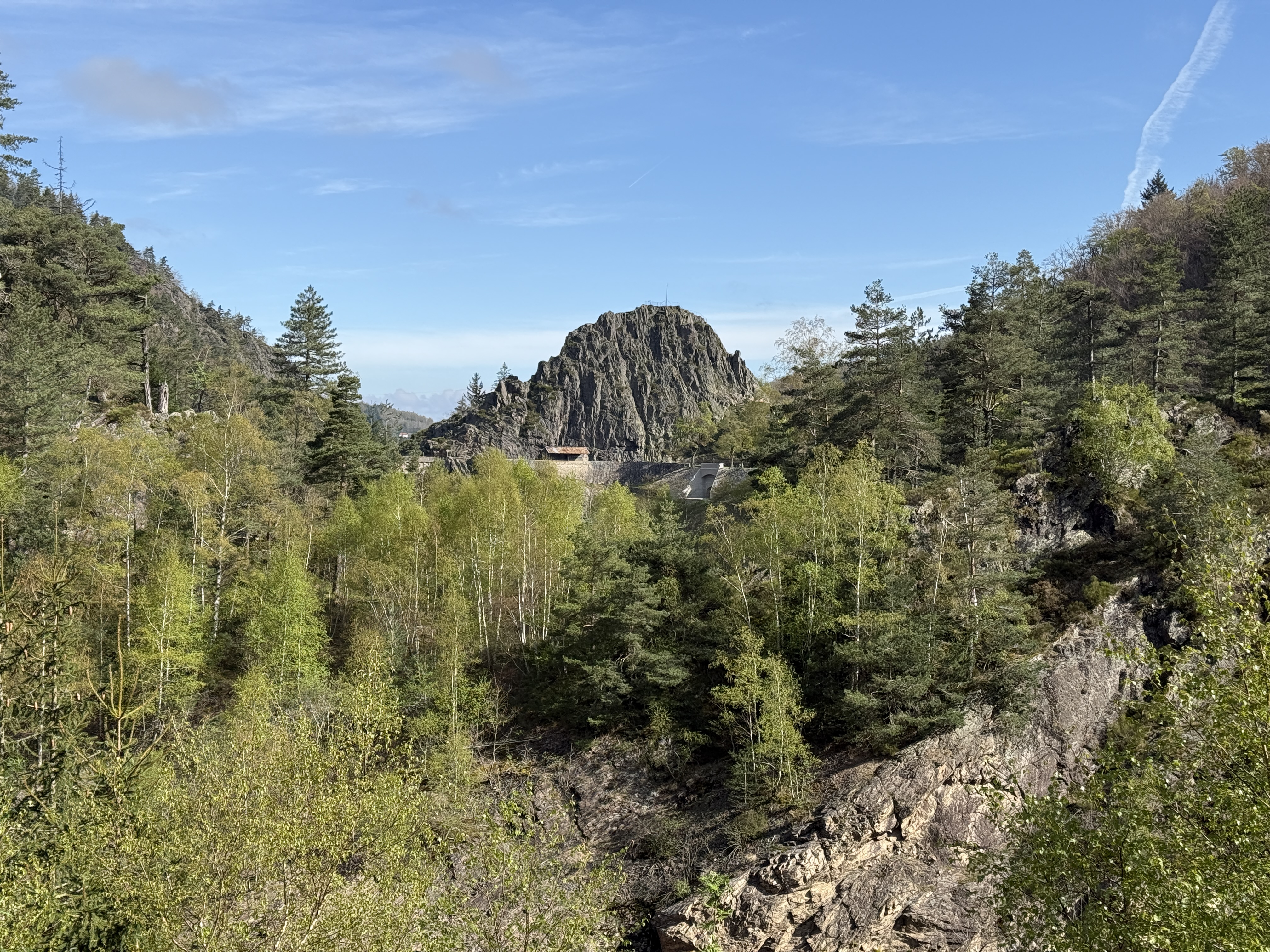 Rochers et forêt du Pilat